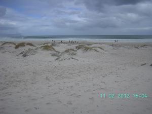 thumbs/bild6782.jpg