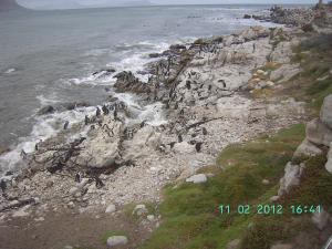 thumbs/bild6790.jpg