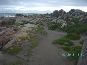 thumbs/bild6801.jpg