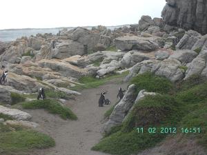 thumbs/bild6802.jpg