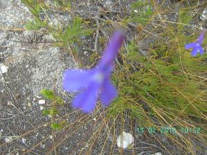 thumbs/bild6880.jpg