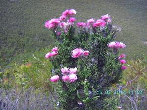 thumbs/bild6884.jpg