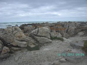 thumbs/bild6979.jpg