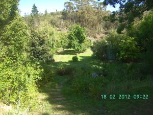 thumbs/bild7025.jpg