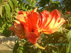 thumbs/bild7058.jpg