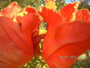 thumbs/bild7059.jpg