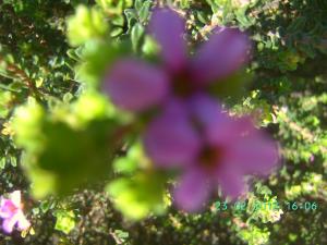 thumbs/bild7229.jpg