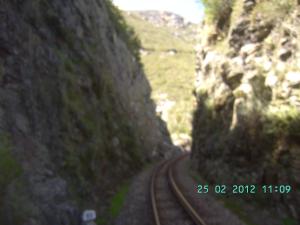 thumbs/bild7308.jpg