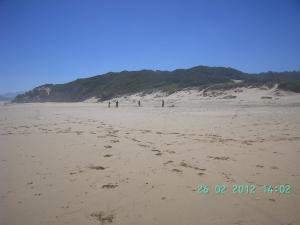 thumbs/bild7389.jpg