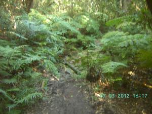 thumbs/bild8028.jpg