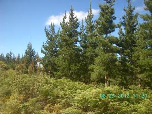 thumbs/bild8052.jpg