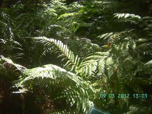 thumbs/bild8089.jpg