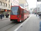 thumbs/img_5138.jpg
