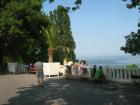 thumbs/img_6915.jpg