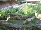 thumbs/img_6920.jpg