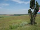 thumbs/img_6959.jpg