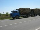 thumbs/img_6961.jpg
