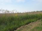 thumbs/img_6967.jpg