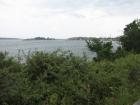 thumbs/img_7056.jpg