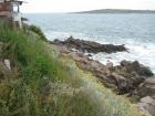 thumbs/img_7072.jpg