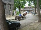 thumbs/img_7077.jpg