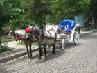 thumbs/img_7080.jpg