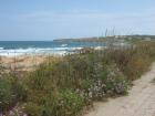thumbs/img_7081.jpg