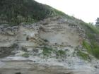 thumbs/img_7101.jpg