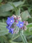 thumbs/img_7113.jpg