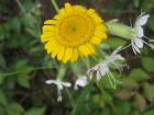 thumbs/img_7114.jpg