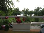 thumbs/img_7118.jpg