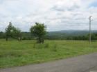 thumbs/img_7125.jpg