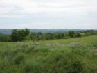 thumbs/img_7126.jpg