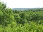 thumbs/img_7147.jpg