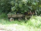 thumbs/img_7150.jpg