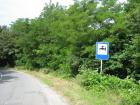 thumbs/img_7151.jpg