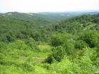 thumbs/img_7153.jpg