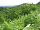 thumbs/img_7154.jpg