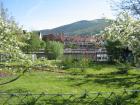 thumbs/img_4374.jpg