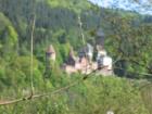 thumbs/img_4375.jpg