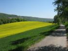 thumbs/img_4384.jpg