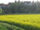 thumbs/img_4395.jpg