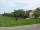 thumbs/img_6207.jpg