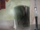 thumbs/img_6427.jpg