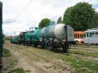 thumbs/img_5485.jpg