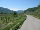 thumbs/img_4760.jpg