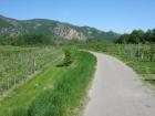 thumbs/img_4785.jpg