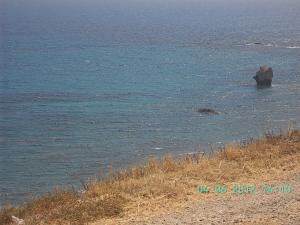 thumbs/bild1316.jpg