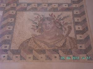 thumbs/bild1416.jpg