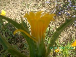 thumbs/bild1456.jpg